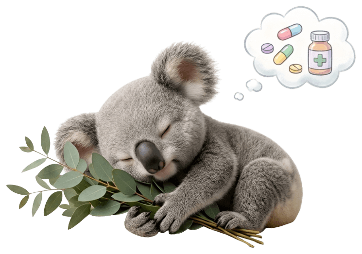 dawAI koala mascot asleep, dreaming of medicine
